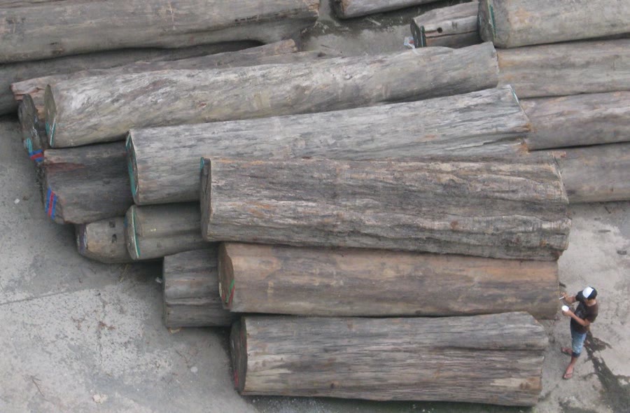 Pátio de madeireira com tábuas e pranchas empilhadas